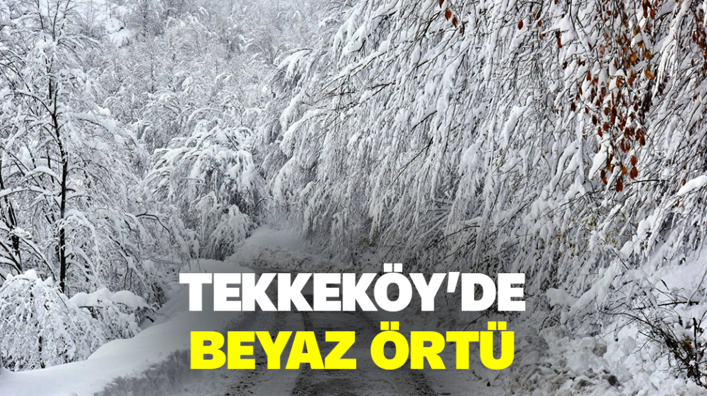 Tekkeköy’de beyaz örtü