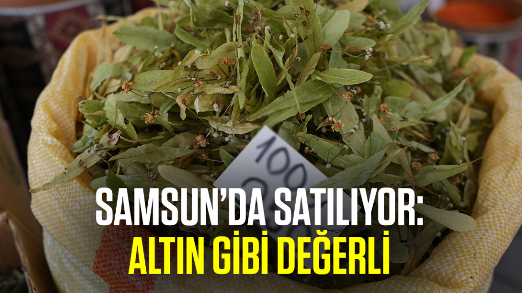Samsun’da satılıyor: Altın gibi değerli