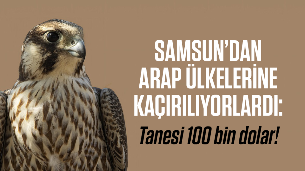 Samsun’dan Arap ülkelerine kaçırılıyorlardı: Tanesi 100 bin dolar!