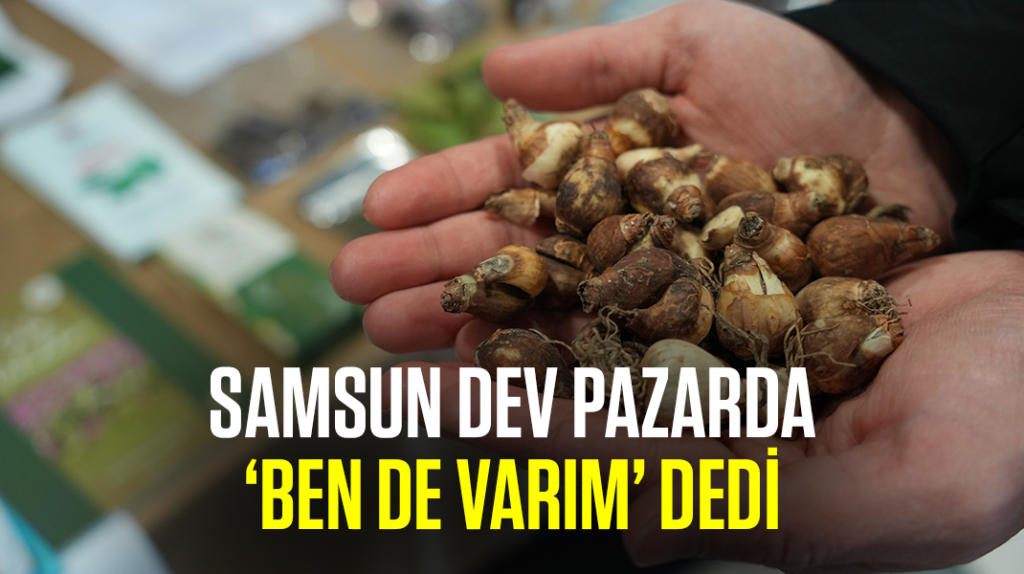 Samsun, dev pazarda ‘Ben de varım’ dedi