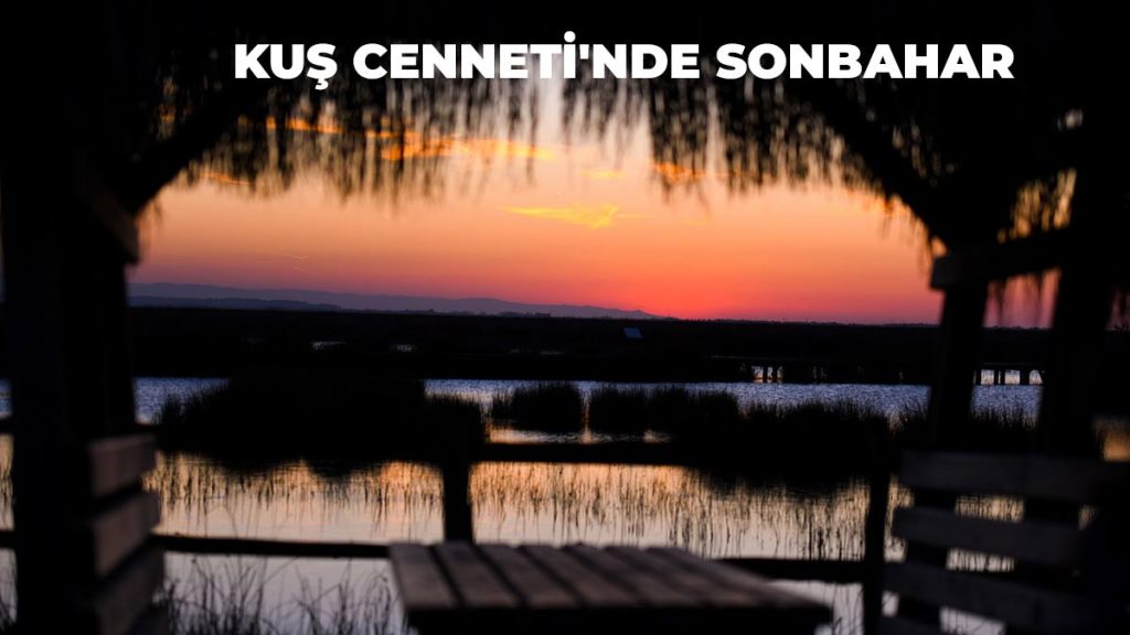 Kuş Cenneti’nde Sonbahar Göz Kamaştırıyor