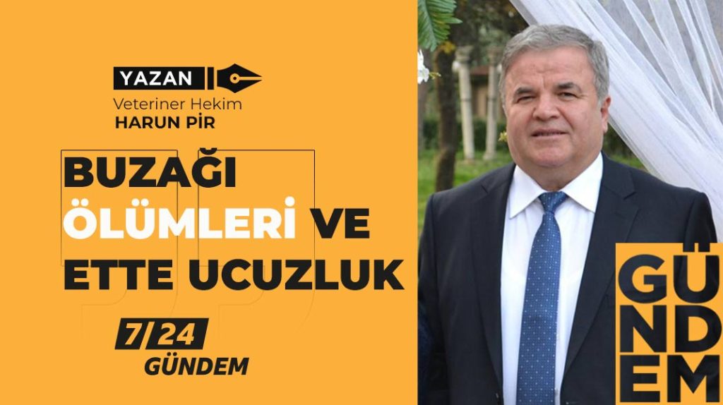BUZAĞI ÖLÜMLERİ VE ETTE UCUZLUK