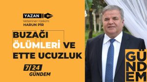 BUZAĞI ÖLÜMLERİ VE ETTE UCUZLUK